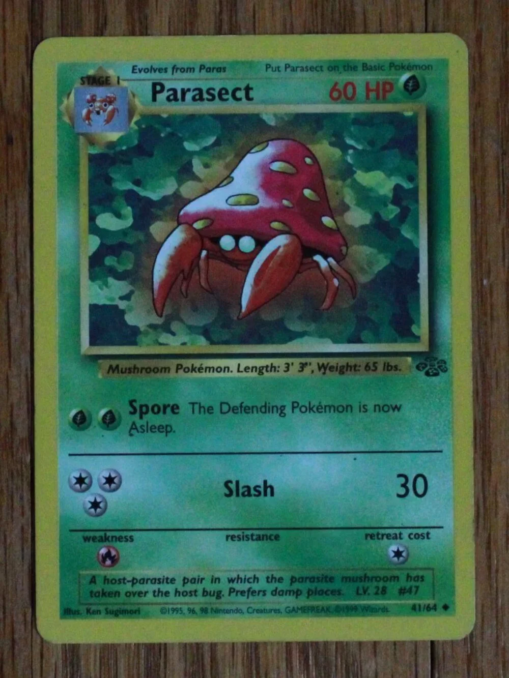 Vintage Pokemon 1999 